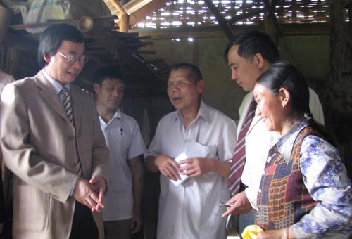album tangquats_12.jpg