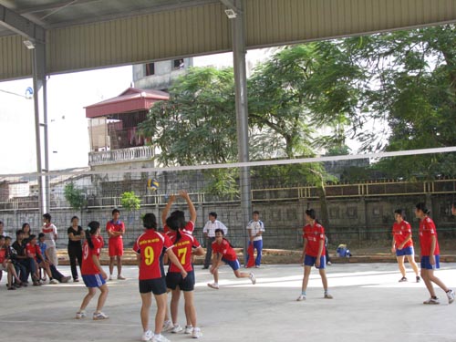 album Trungbac10_09.jpg