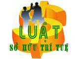 Luat so huu tri tue