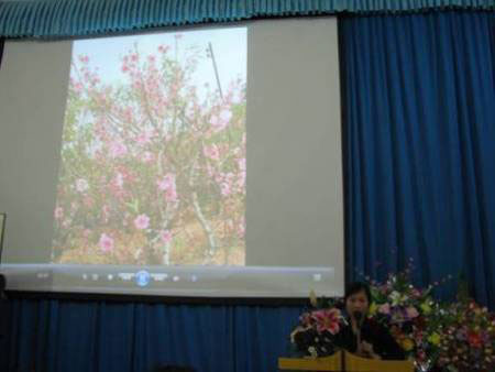 To chuc hoi thao “Van hoa tam linh voi ngay xuan”