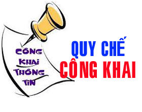 Thong tu ban hanh Quy che thuc hien cong khai doi voi co so giao duc cua he thong giao duc quoc dan