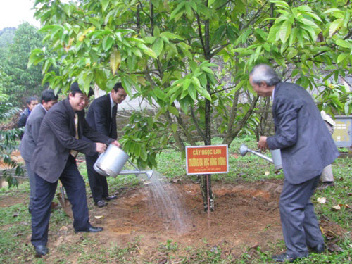 Dang huong va tham cay trong luu niem tai Den Quoc to Lac Long Quan, Den Mau Au Co va Khu di tich lich su Den Hung