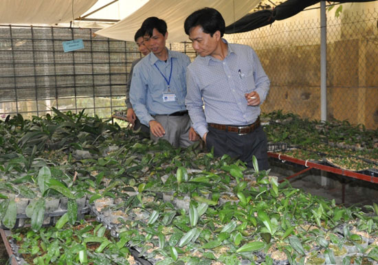 Doan cong tac cua So Khoa hoc Cong nghe tinh Phu Tho kiem tra tien do thuc hien de tai khoa hoc cong nghe nam 2015 cua Truong Dai hoc Hung Vuong