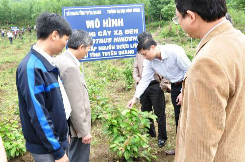 Truong Dai hoc Hung Vuong to chuc hoi nghi gioi thieu mo hinh trong cay xa den cung cap duoc lieu tai xa Phu Lam – Yen Son – Tuyen Quang