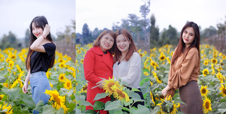 KHAM PHA THIEN DUONG HOA MAT TROI - SUNFLOWER IN HVU