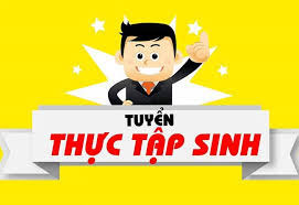 Thuc tap nghe nghiep co thu nhap danh cho sinh vien chuyen nganh Ke toan Truong Dai hoc Hung Vuong  