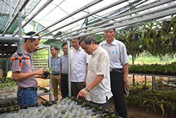 Lien hiep cac Hoi KHKT tinh Phu Tho chia se ket qua nghien cuu, ung dung va chuyen giao ky thuat ve nong nghiep huu co